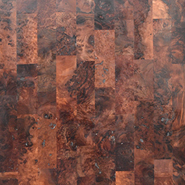 Fragmented Walnut Burl